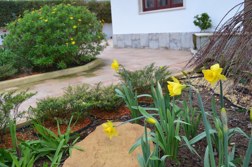 Beija-Flor House Villa Ribamar  Exterior photo